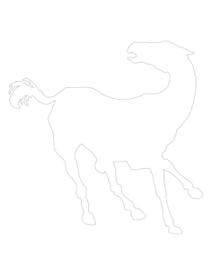 Running Horse Kids Kids Coloring Pages Pdf, Free Vectors File